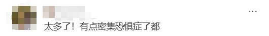 新浪社区：86949.cσm查询澳彩-海边密集出现“爆爆珠”？广州、深圳等多地发布提醒  第8张