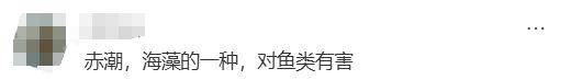 新浪社区：86949.cσm查询澳彩-海边密集出现“爆爆珠”？广州、深圳等多地发布提醒  第7张