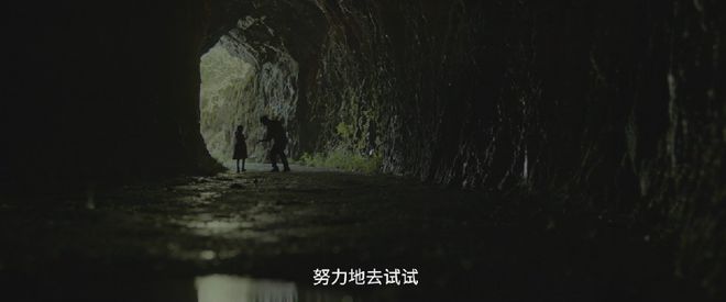 Bilibili：新澳门资料免费-哪个女孩不是一株静待花开的植物呢？  第10张