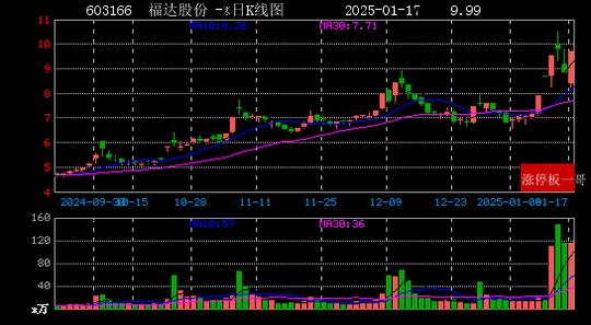 西瓜视频：49图库免费资料大全澳门-供销总社：今年将在900多个涉农县启动示范基层社建设  第7张