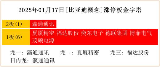 哔哩哔哩：深圳粒子综合设施研究院-2025年01月17日[比亚迪概念]涨停板金字塔