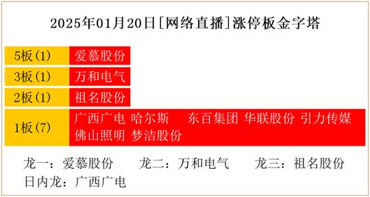 北青网：2024澳门免费精准资料74期-2025年01月20日[网络直播]涨停板金字塔