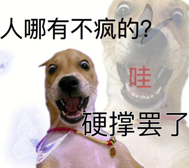 搜狐号：9:41 4G 58 六叔会员群(500) 晚上7:21 六叔猛料澳门精选特肖:马-狗 特码:10-2-曼联预计给加纳乔标5000万镑；切尔西筹资；拉维亚伤缺数周  第11张
